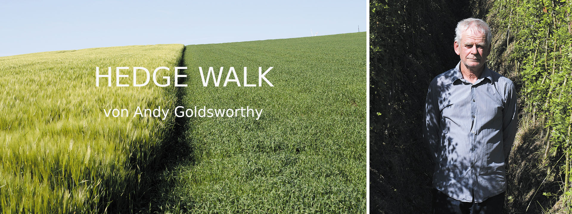 HEDGE WALK - von Andy Goldsworthy